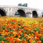 Üsküp Taşköprü